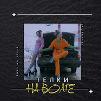 Samurayki — Телки На Волге — обложка